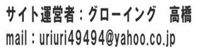 �T�C�g�^�c�ҏ��